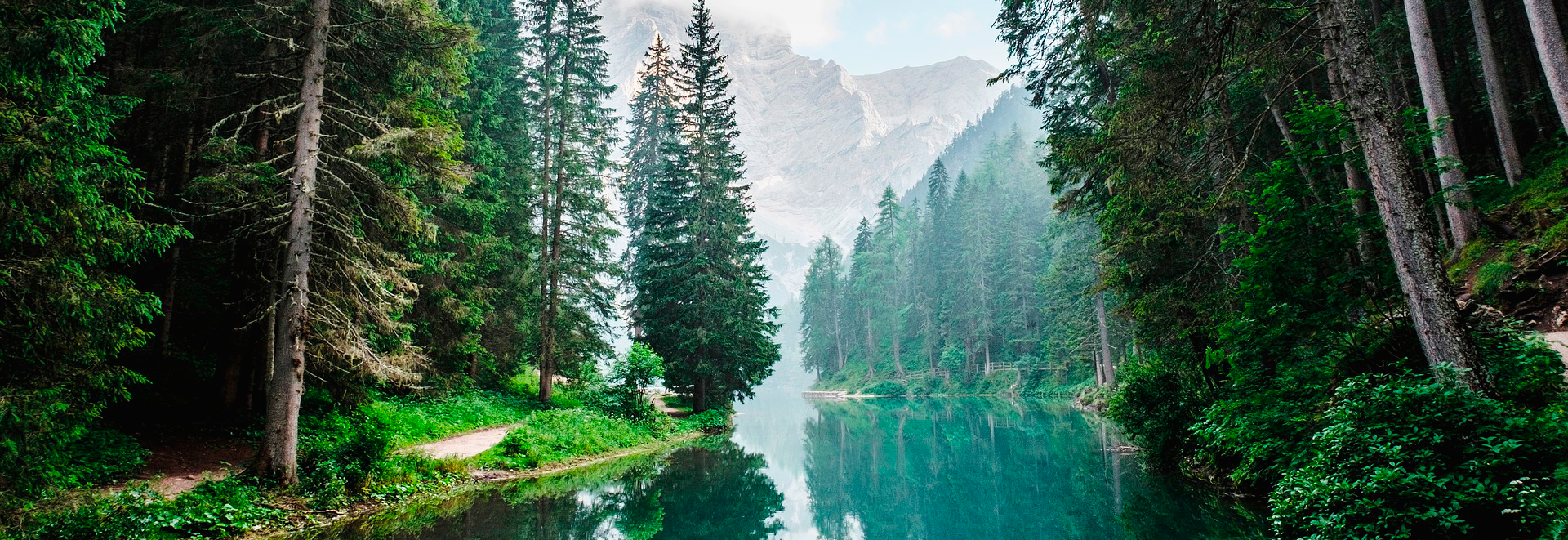 WorldWideWandering
